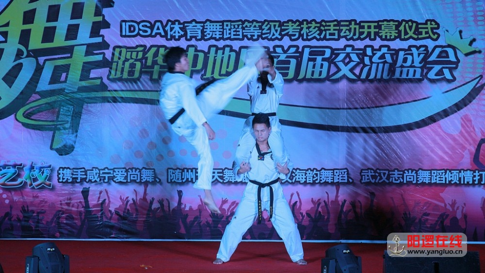 IDSA体育舞蹈首届交流会_18.jpg