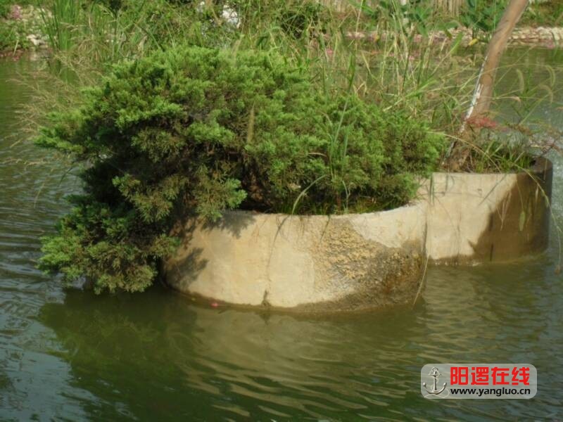 SDC10751.JPG