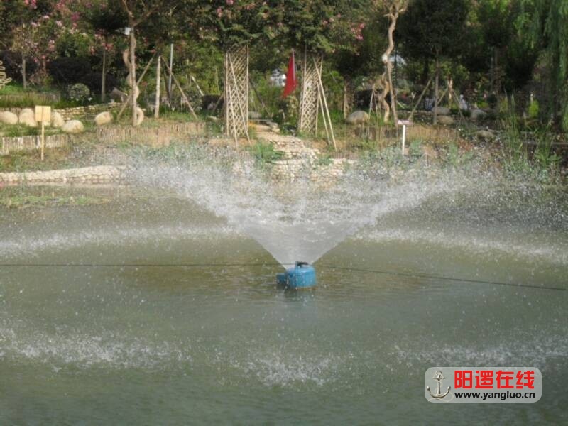 SDC10750.JPG