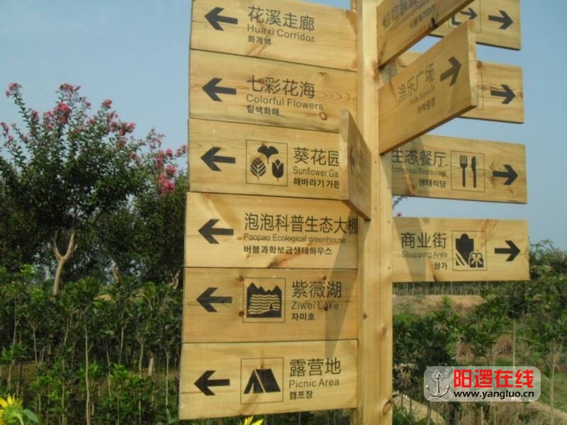 SDC10742.JPG