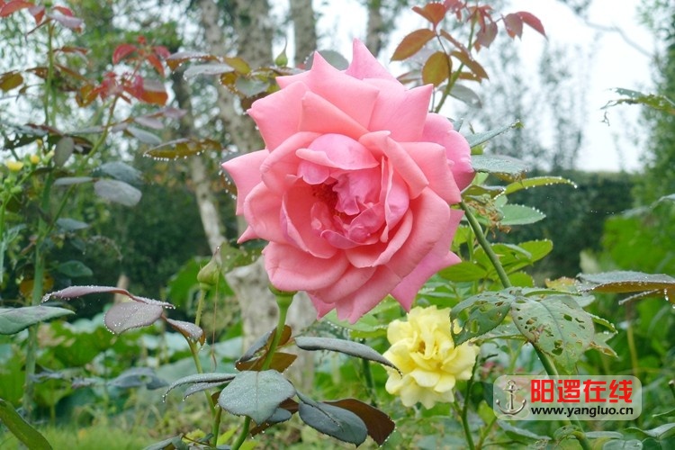 P1050107.JPG