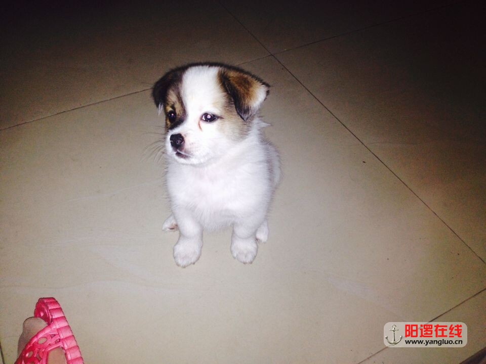 QQ图片20141027111914.jpg