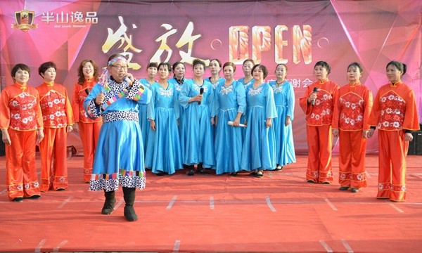 阳逻艺术团歌曲伴唱《天边的骆驼》