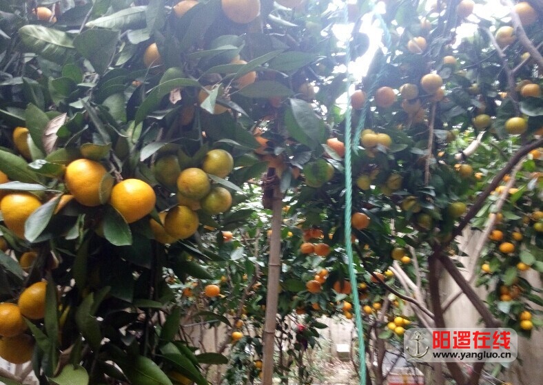 QQ图片20141222112201.jpg