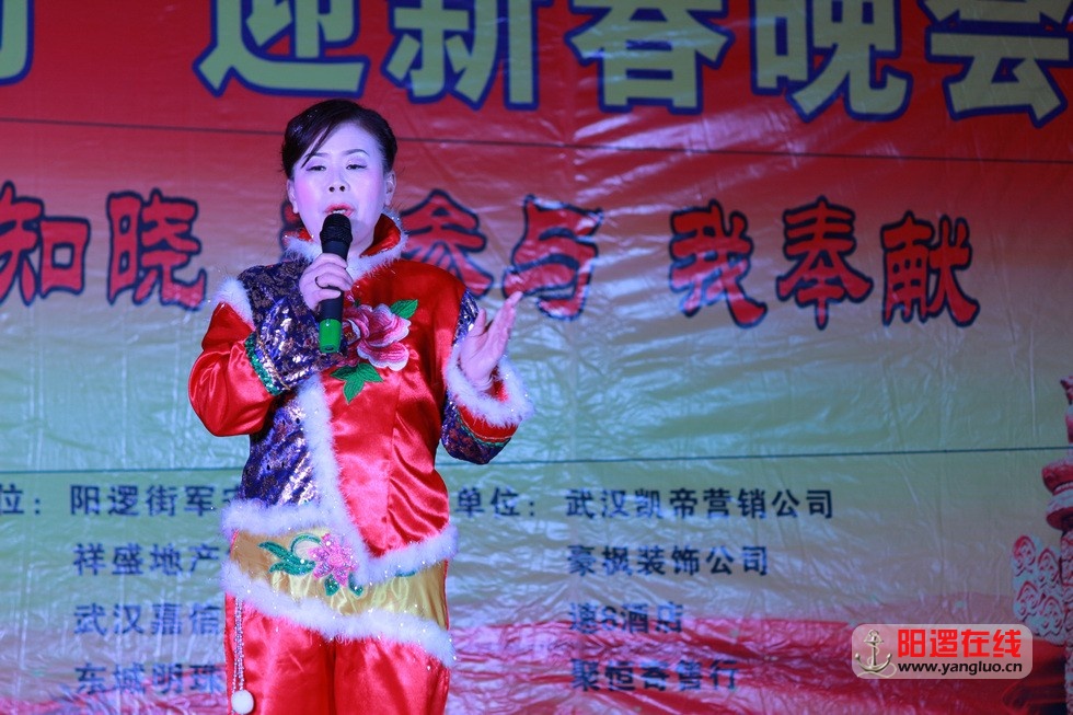 迎新春晚会_6.jpg