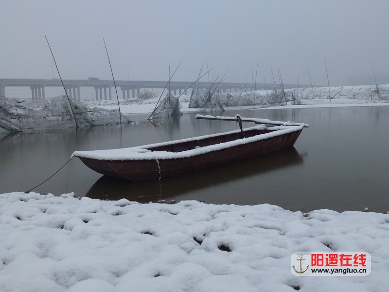 P1050294.jpg