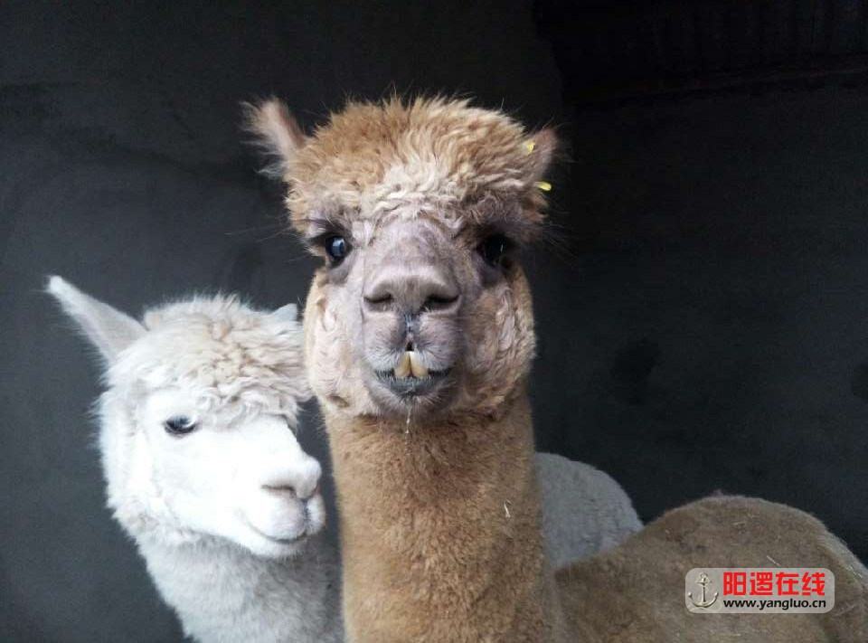 QQ图片20150215203050.jpg