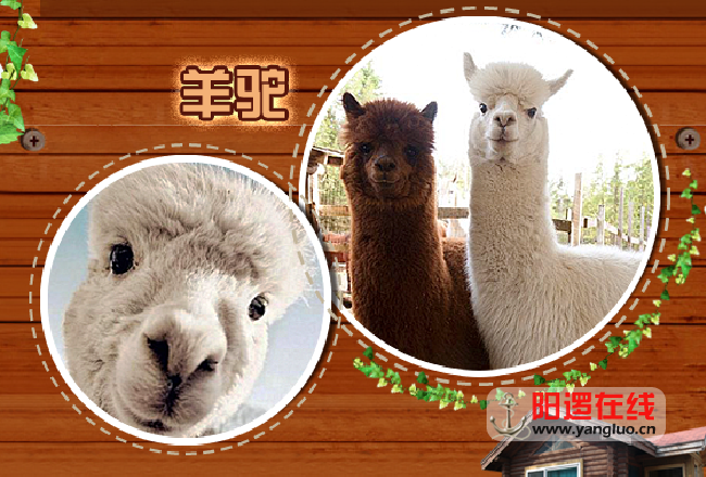 QQ截图20150215215041.png