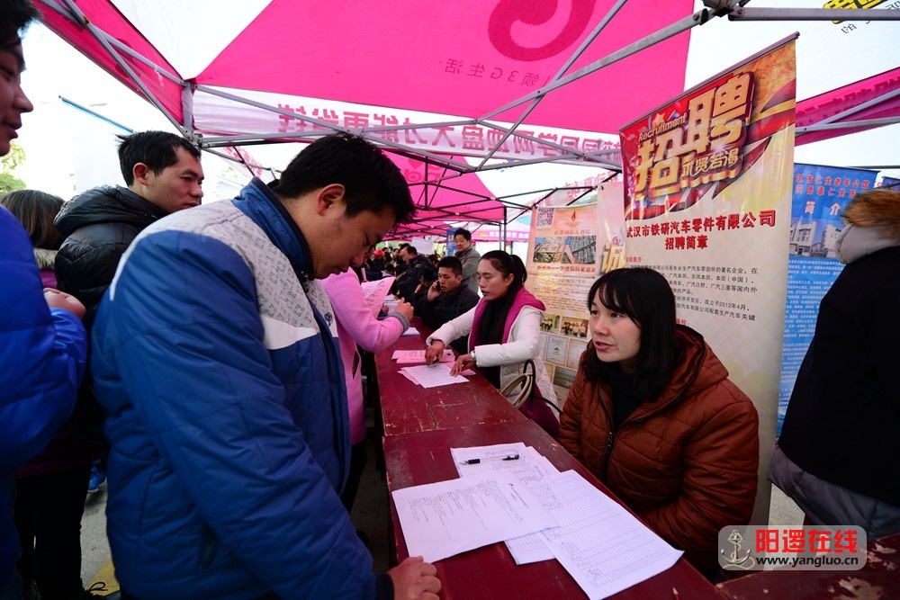 新洲区春风行动招聘会12.jpg