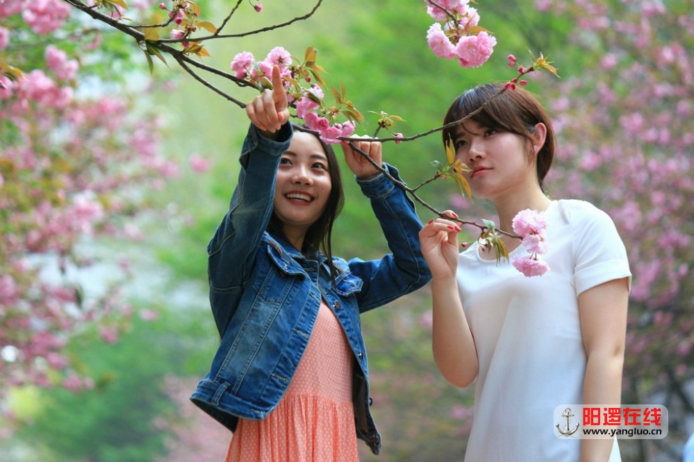武生院赏樱花_30_1.jpg