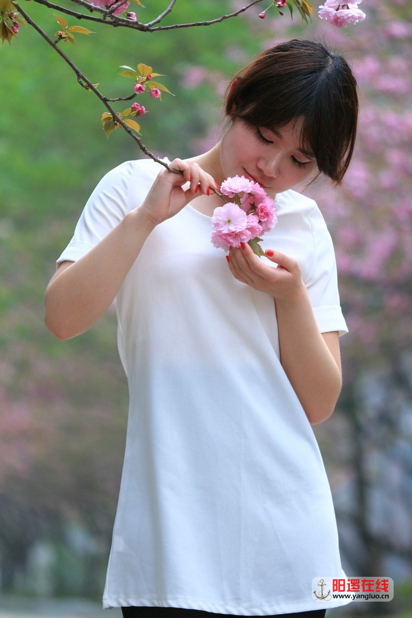 武生院赏樱花_31_1.jpg