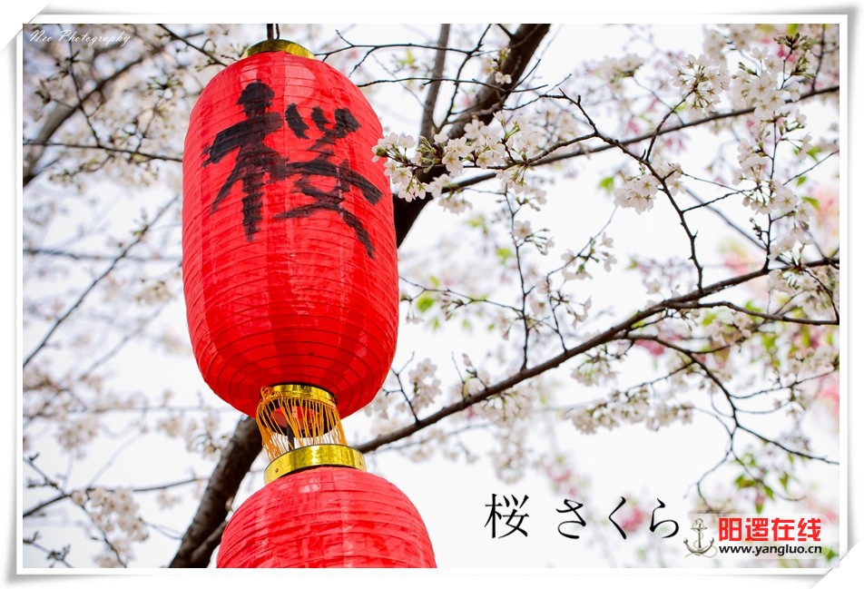 IMG_8900_副本.jpg