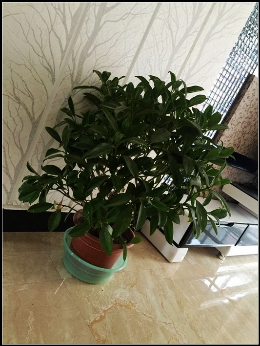 QQ图片20150422162935.jpg