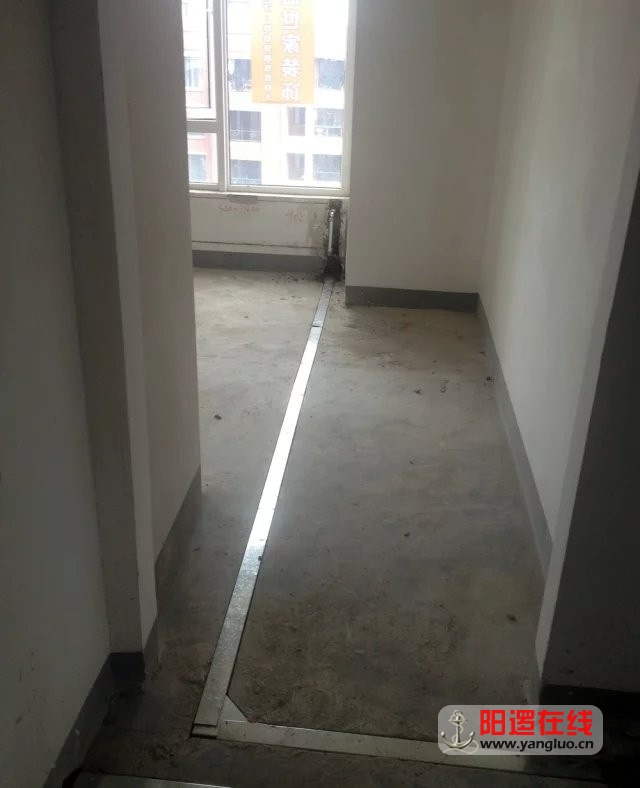 27852.jpg
