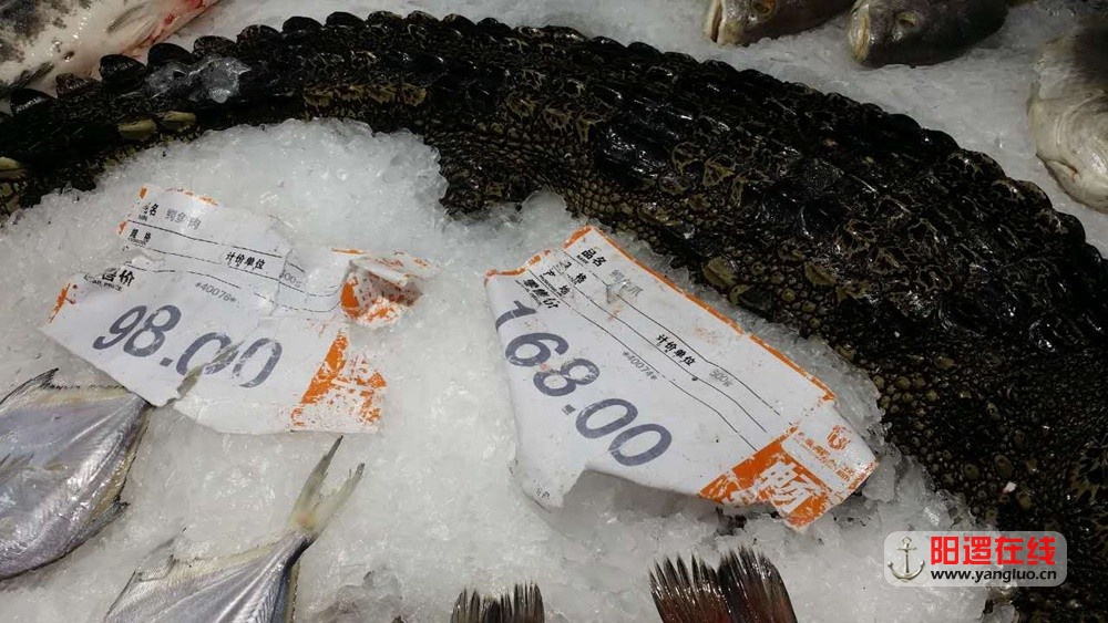 佳阳摩尔城百家福超市卖鳄鱼肉.jpg