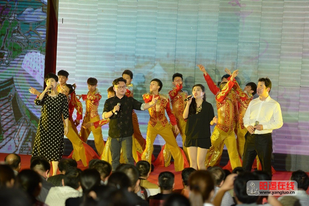 武汉歌舞剧院来阳逻演出.jpg