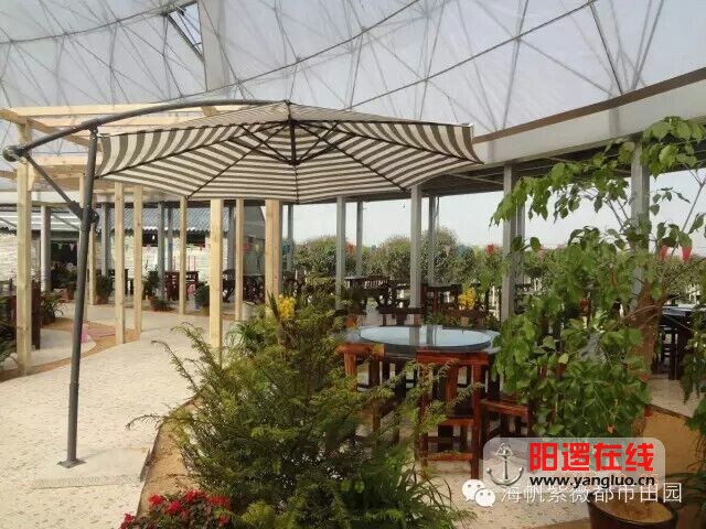 QQ图片20150615105442.jpg