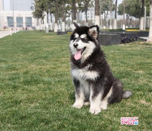 20130312172925big.jpg
