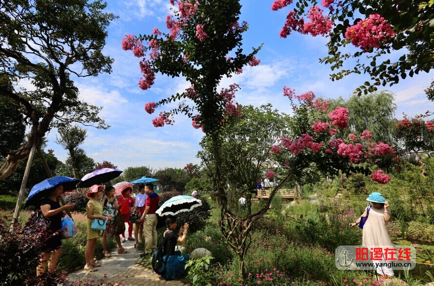 QQ图片20150624141439.jpg
