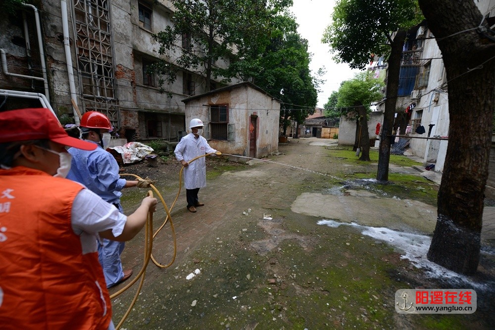 志愿者为阳逻老棉纺厂居民区防治白蚁.jpg