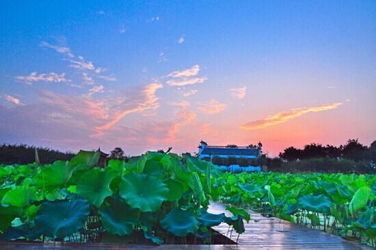 QQ图片20150702123934.jpg