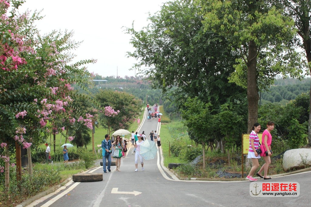 83.jpg
