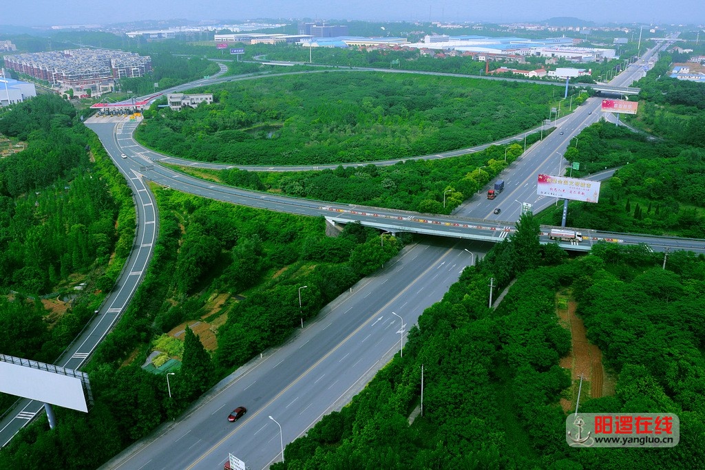阳逻路网.jpg