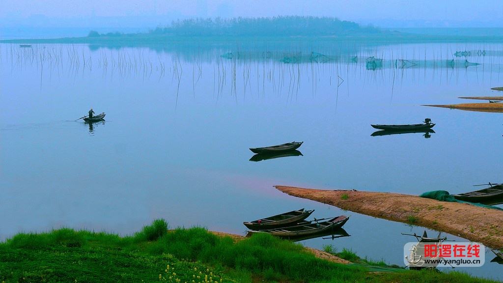 春意倒水河.jpg