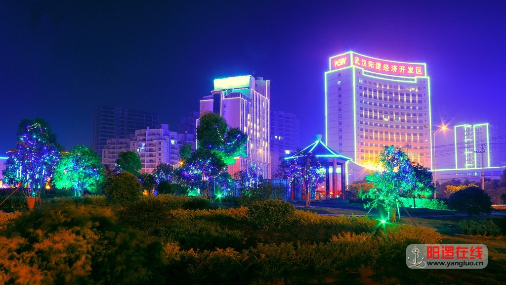 阳逻夜景_1.jpg
