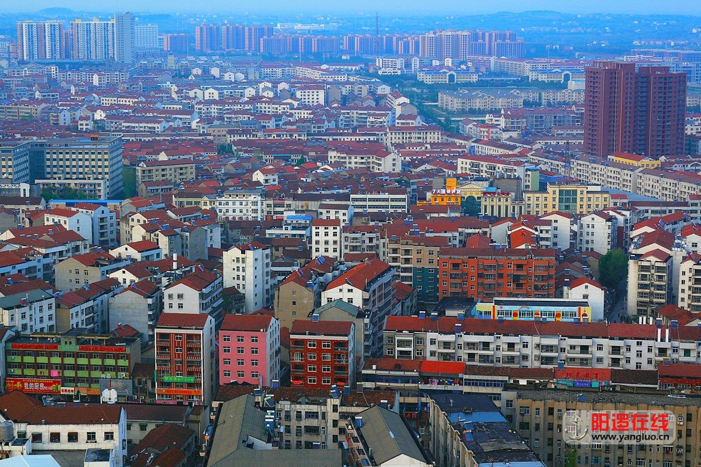 俯瞰阳逻_2.jpg
