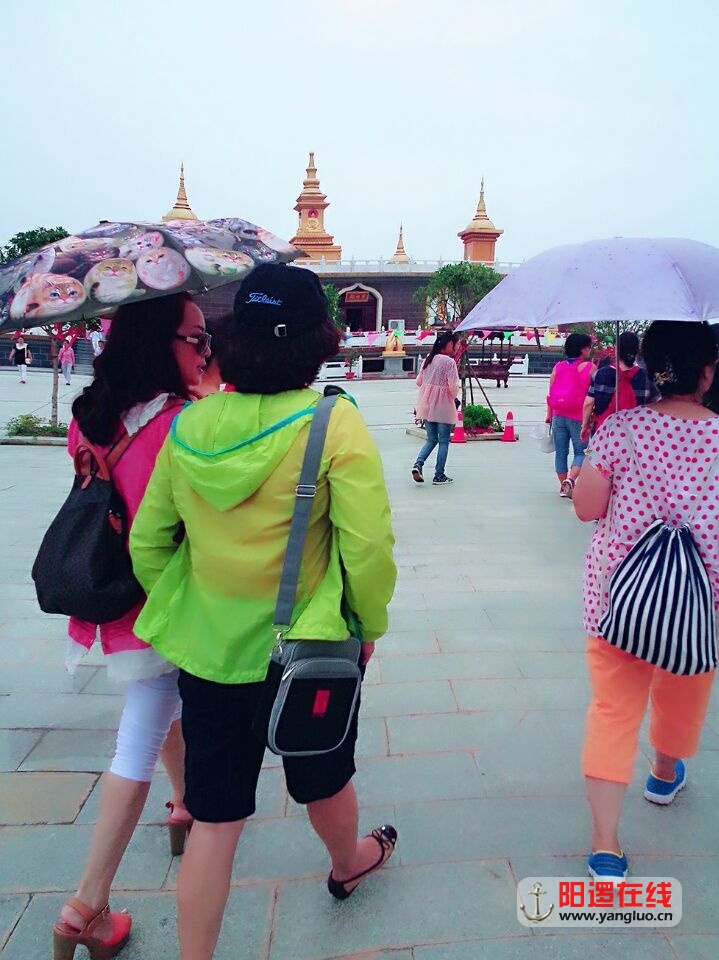QQ图片20150818090925.jpg