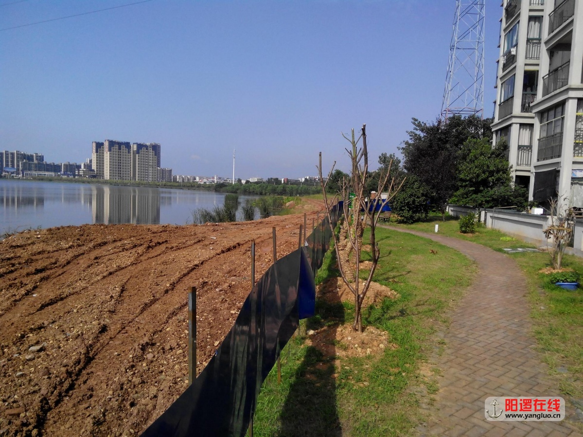环湖路天琴湾段施工现场