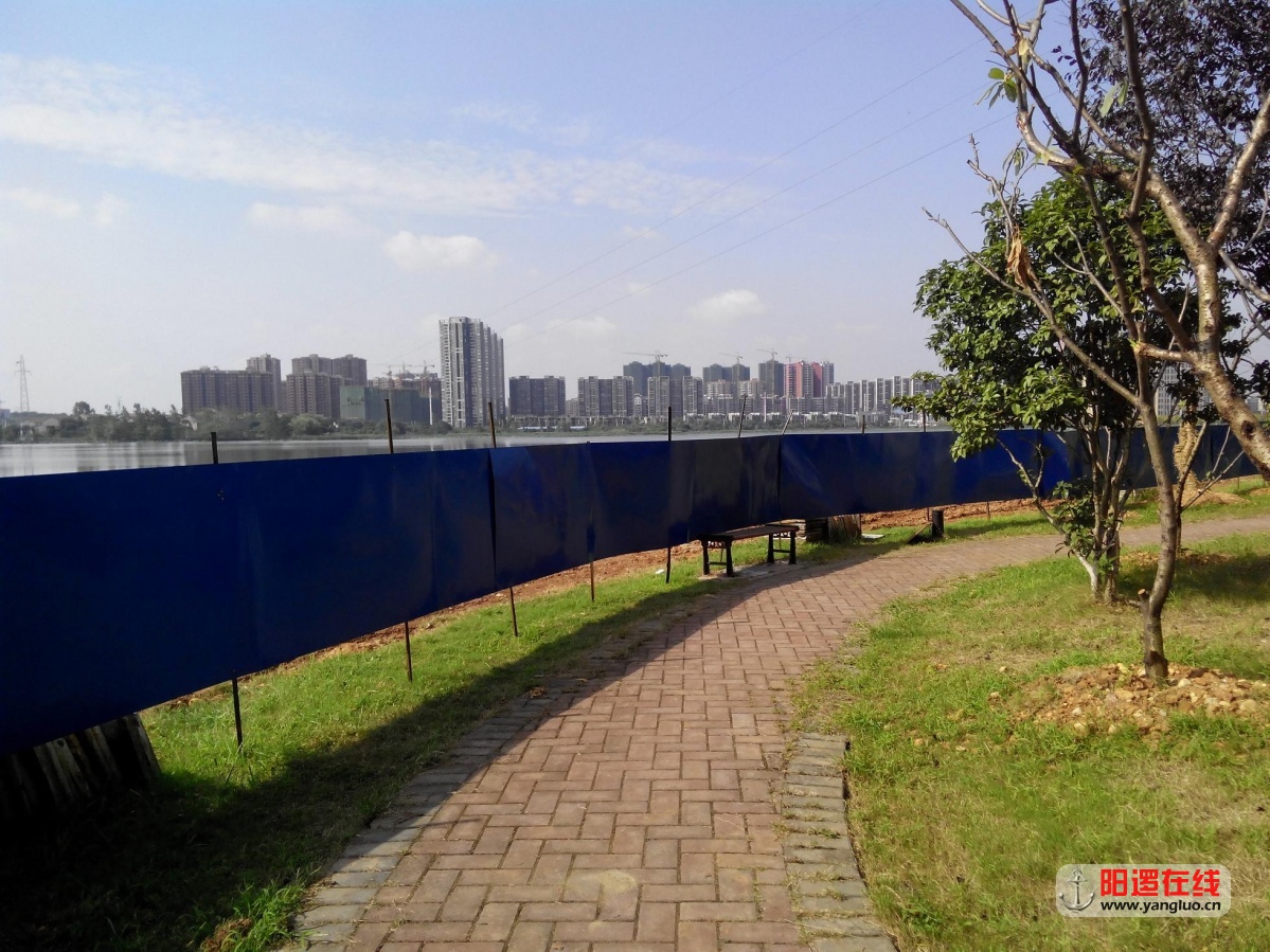 环湖路天琴湾段施工现场