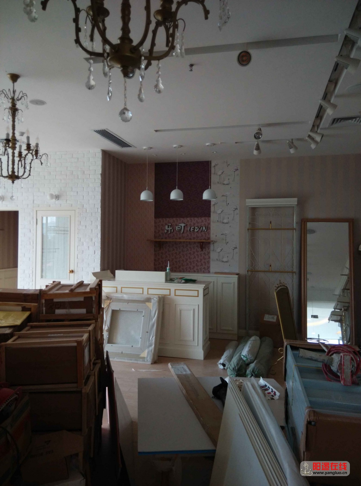 IMG_20150912_101930.jpg
