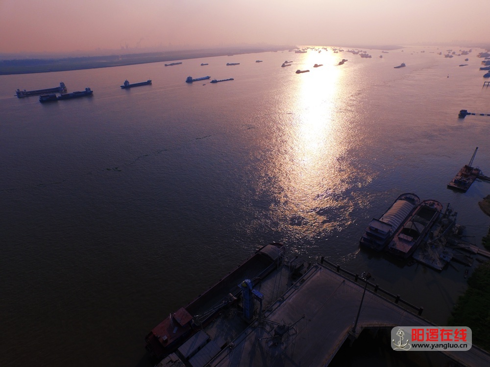武钢阳逻港码头.jpg