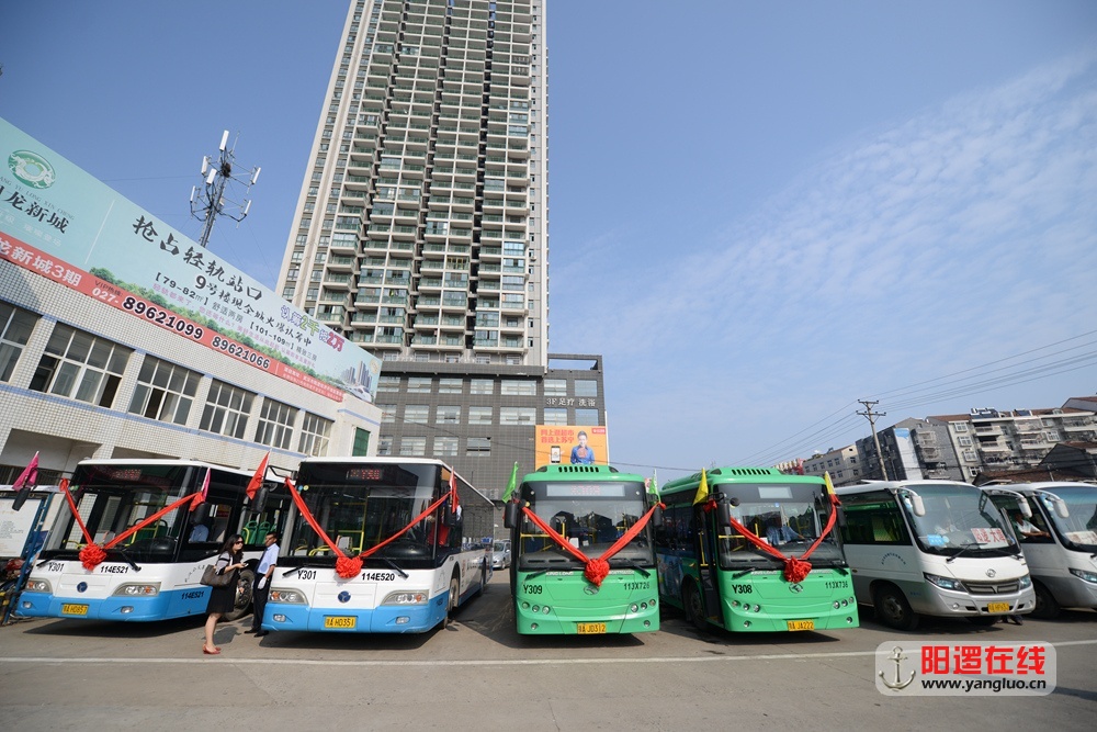 阳逻城内公交.jpg