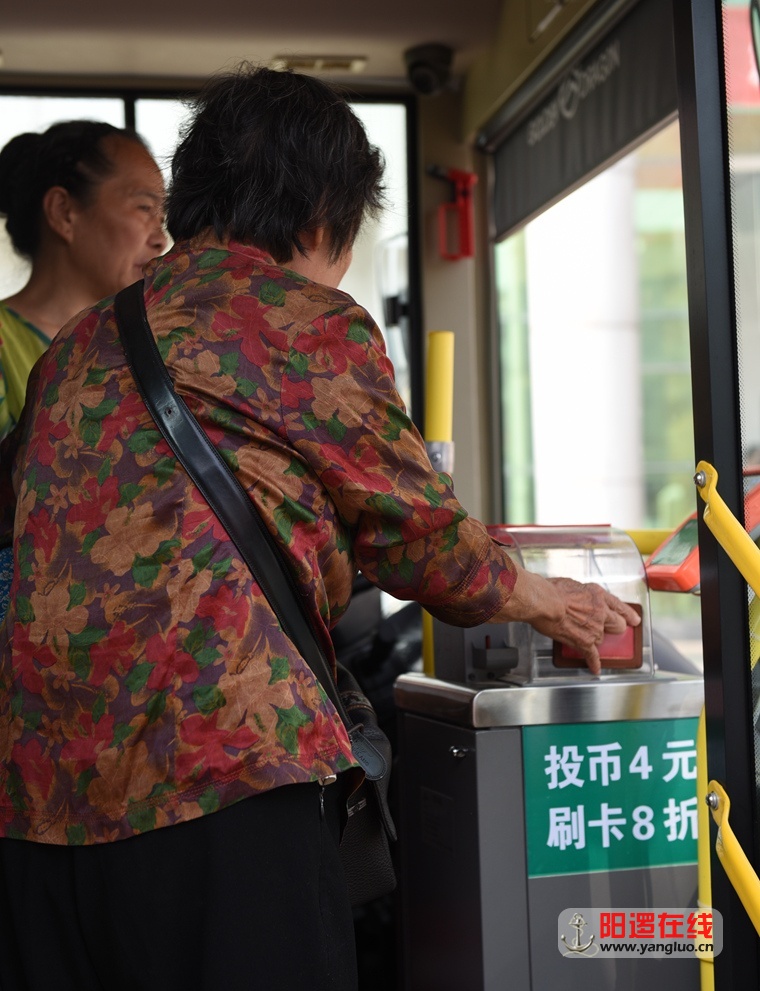 阳逻到邾城219公交刷老年卡免费.jpg