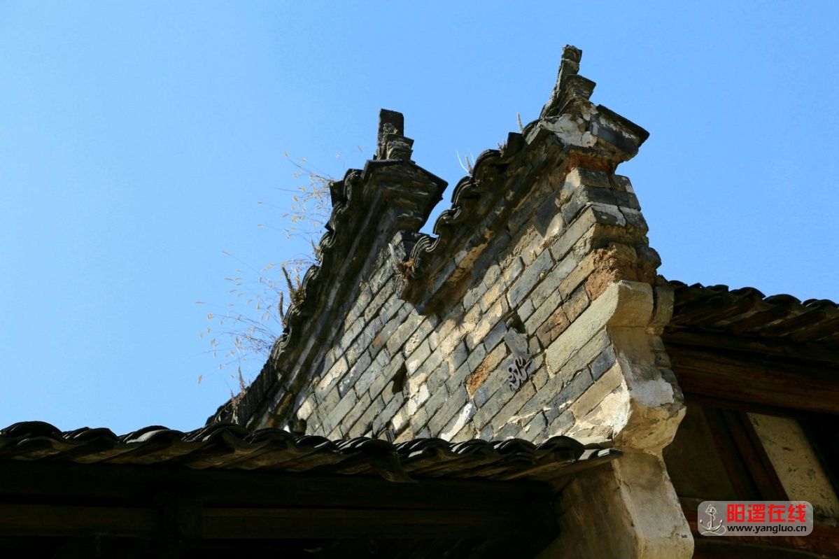 06.jpg