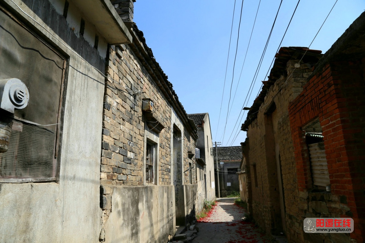 58.jpg