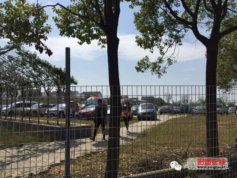 QQ图片20151004102253.jpg