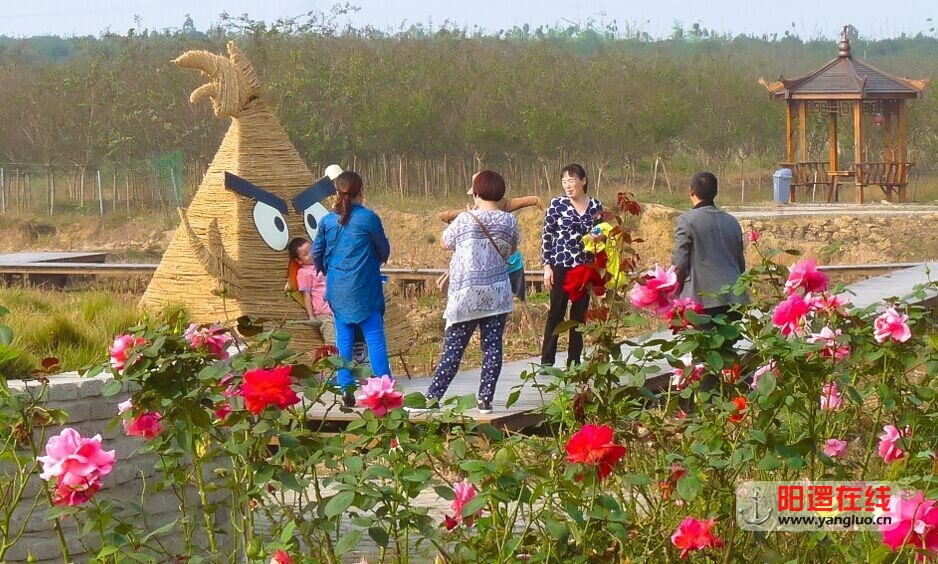 QQ图片20151024144516.jpg