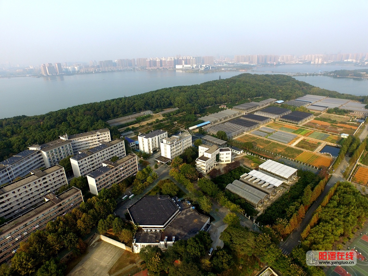 华中农业大学狮子山