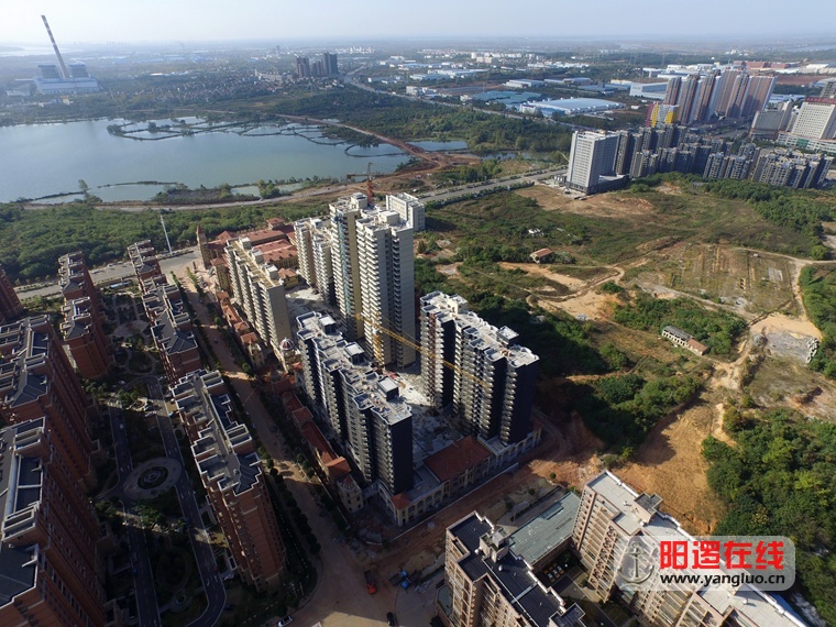 阳逻瀚华天地鸟瞰.jpg
