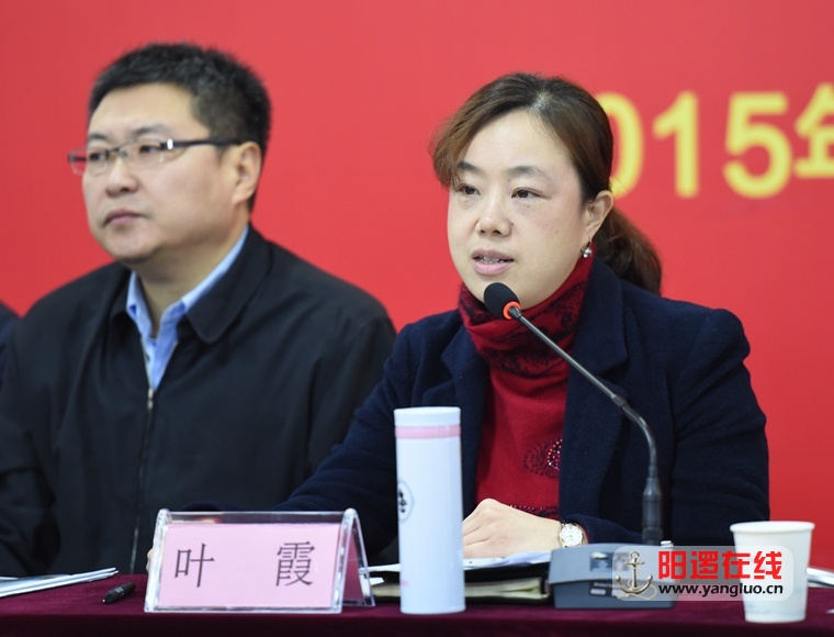 新洲区人民政府副区长叶霞