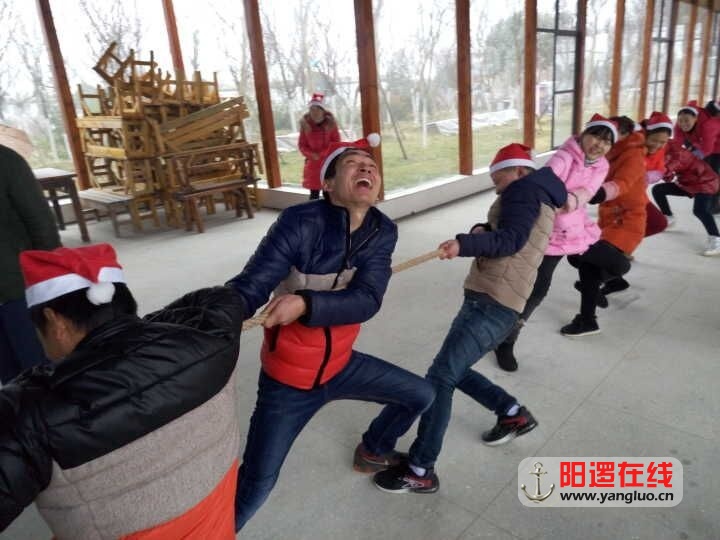 QQ图片20151225090834.jpg