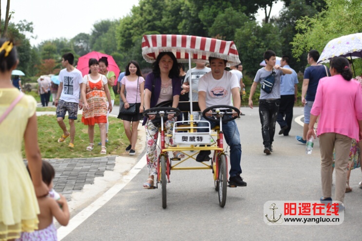 QQ截图20151229095234.jpg