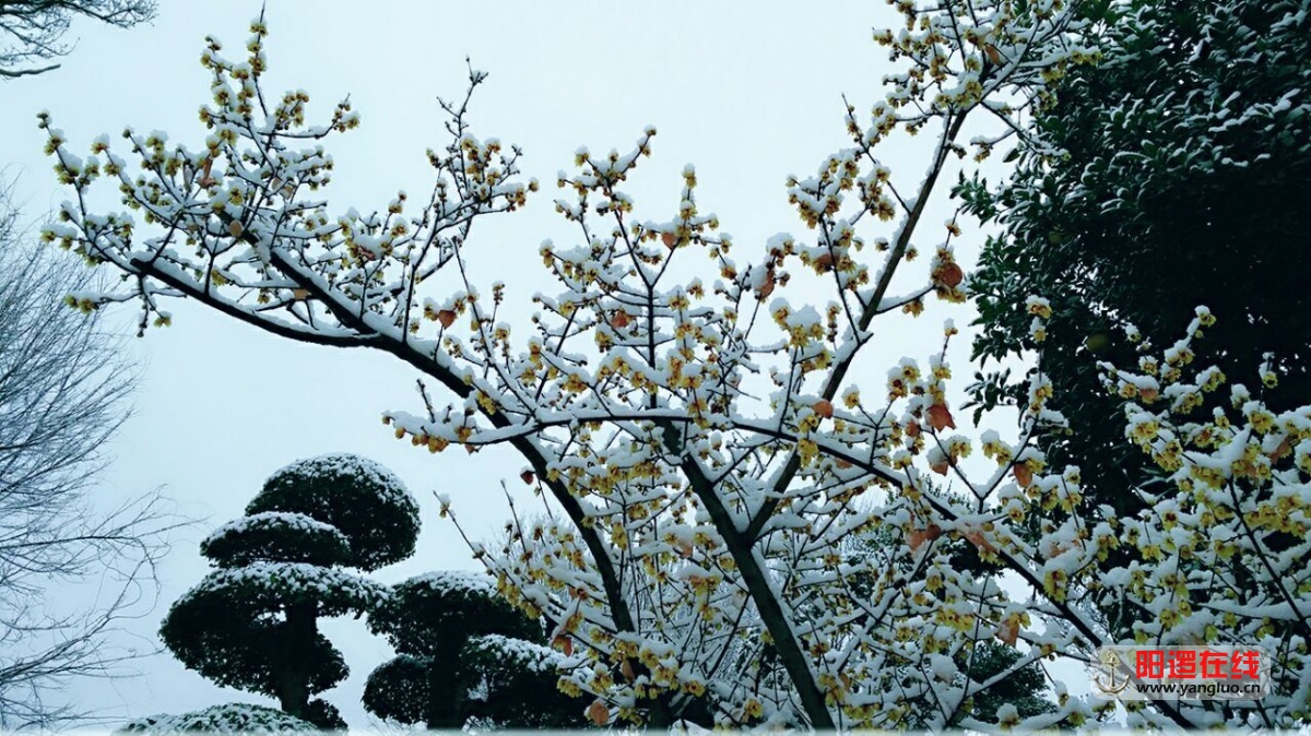 QQ图片20160121161250.jpg