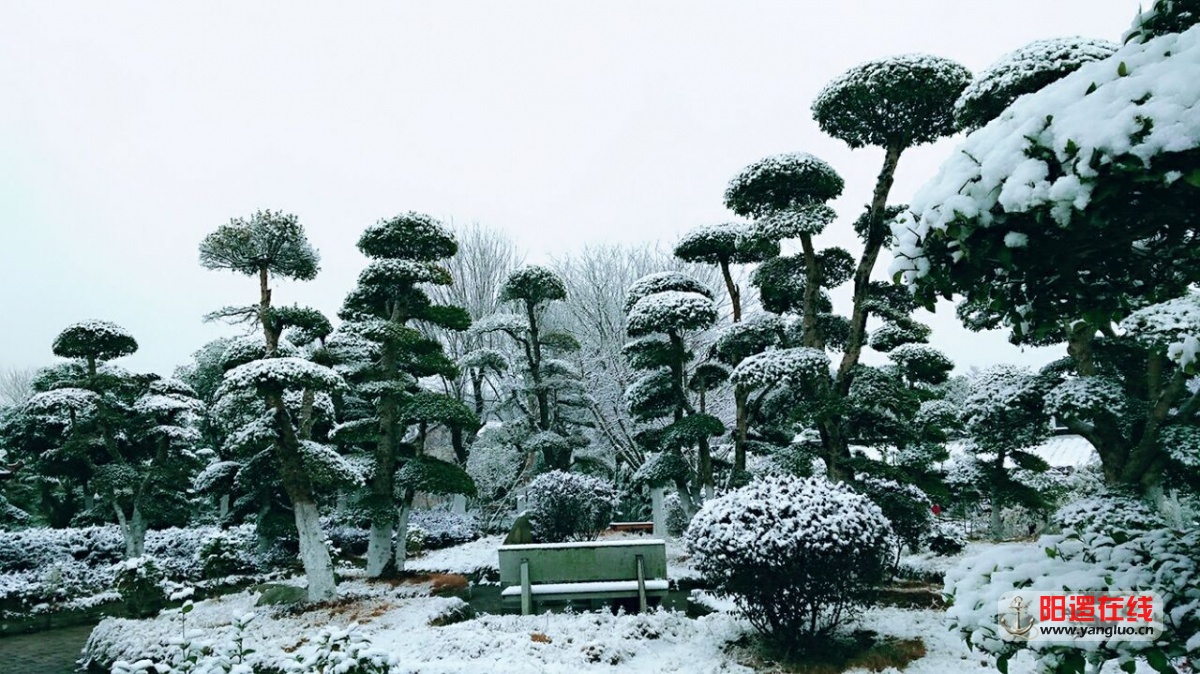QQ图片20160121161405.jpg