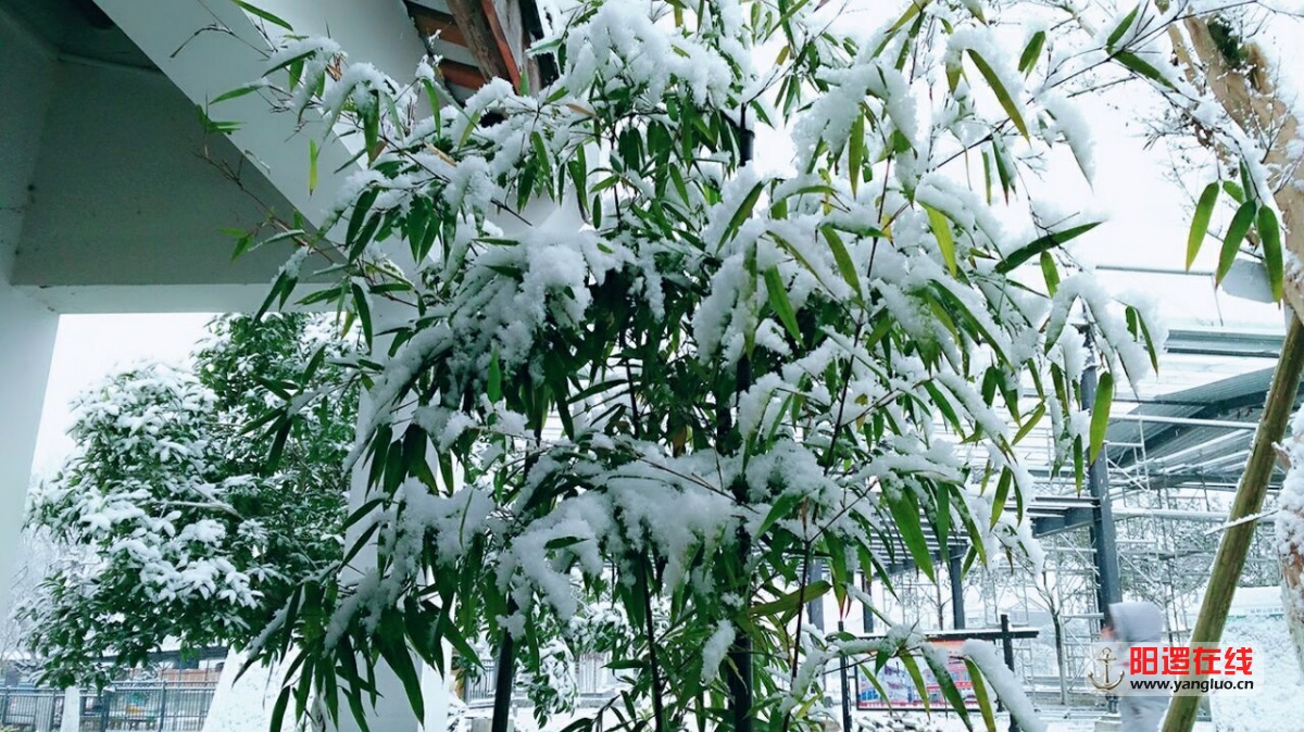 QQ图片20160121161421.jpg