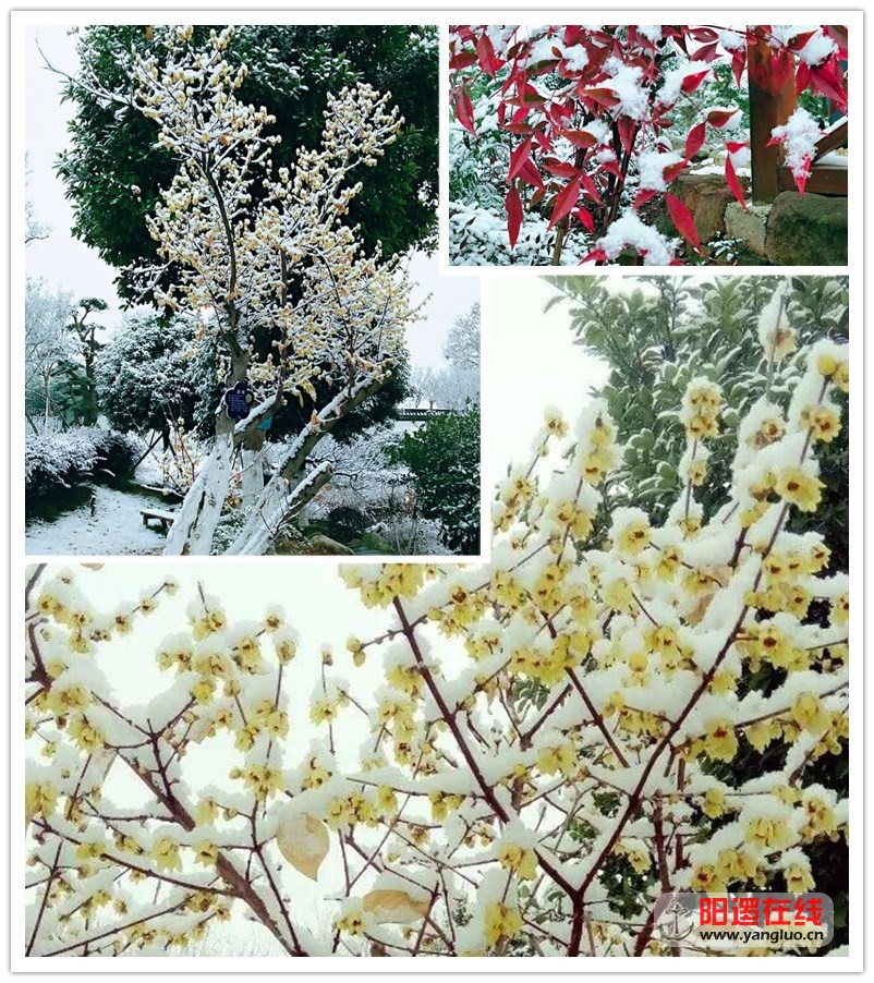 initpintu_副本11.jpg